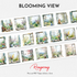 Blooming View PET Tape