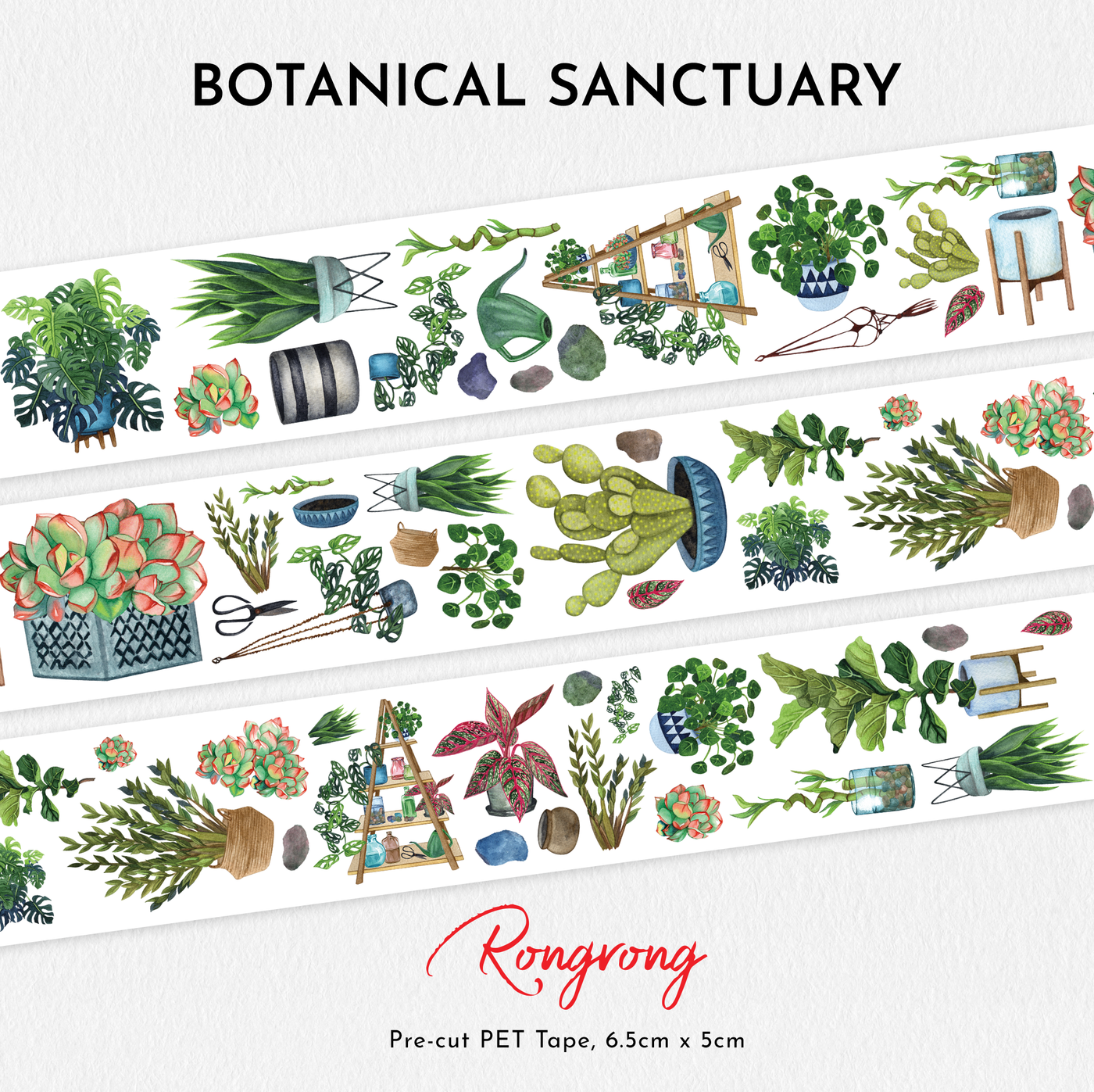 Rongrong Botanical Sanctuary PET Tape