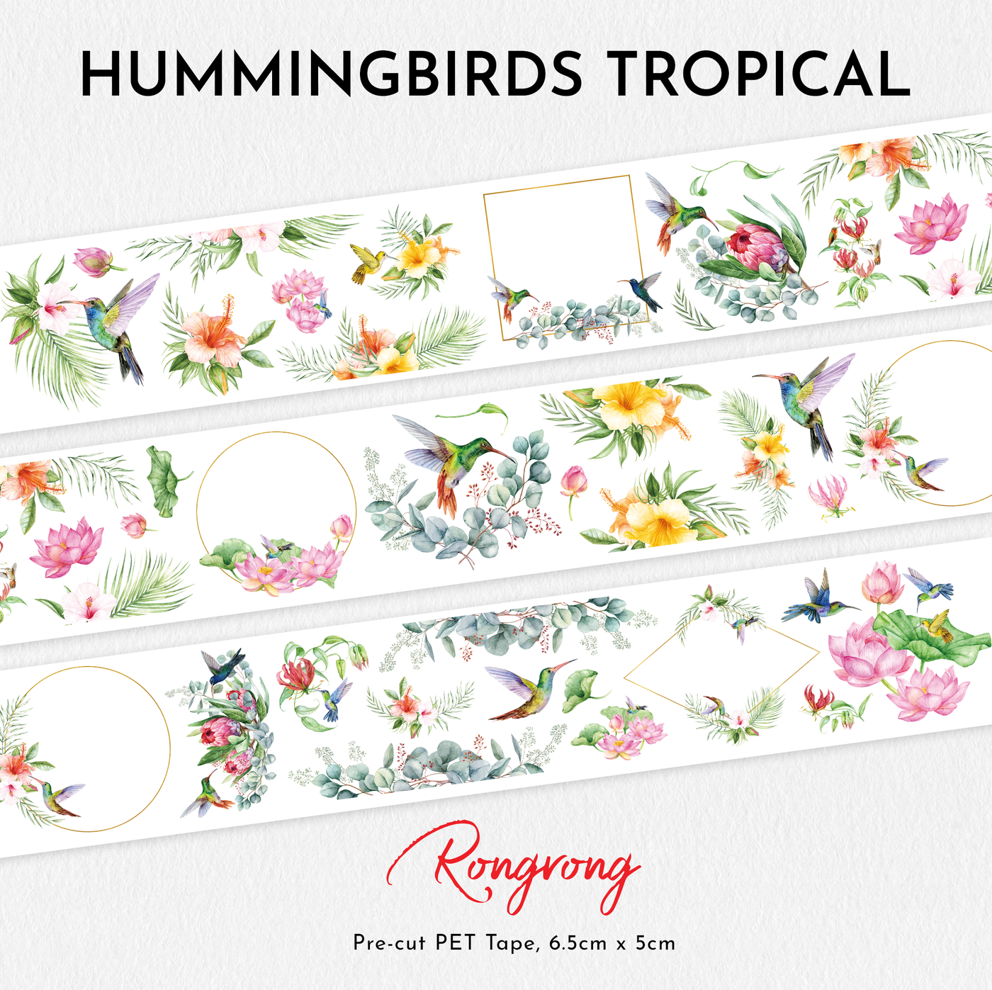 Shop Rongrong Hummingbirds Tropical PET Tape