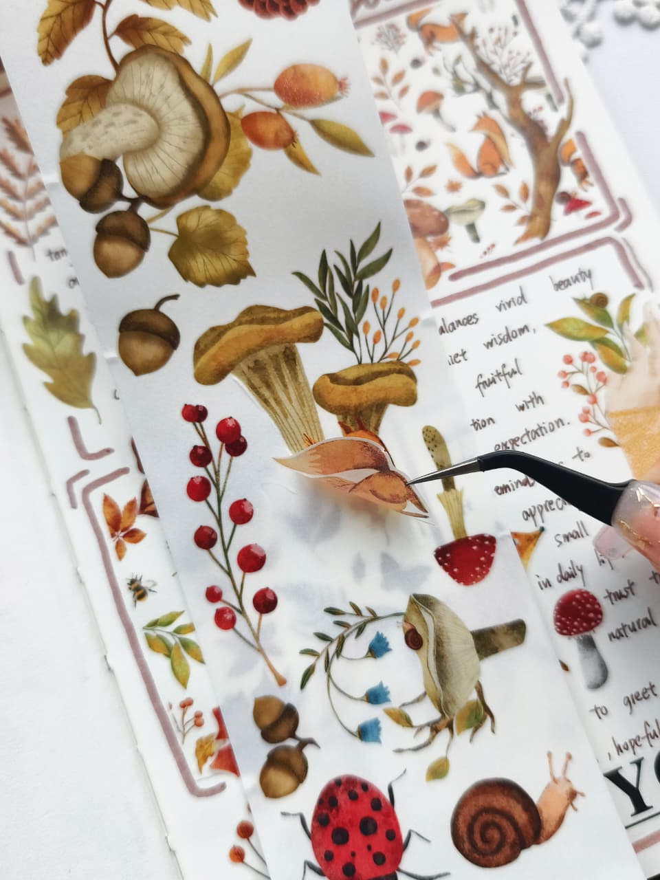Close-up of tweezers lifting a watercolor fox sticker from the Sweet Fall Washi Tape, highlighting its easy-to-peel design with woodland mushrooms, berries, acorns, and cozy autumn nature illustrations.