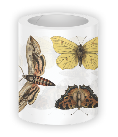 Shop Rongrong Vintage Butterfly PET Tape 