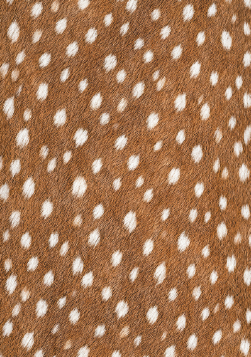 Warm brown faux fawn fur pattern scrapbook paper with delicate white woodland spots and soft natural texture.