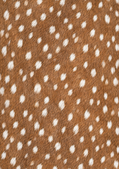 Warm brown faux fawn fur pattern scrapbook paper with delicate white woodland spots and soft natural texture.