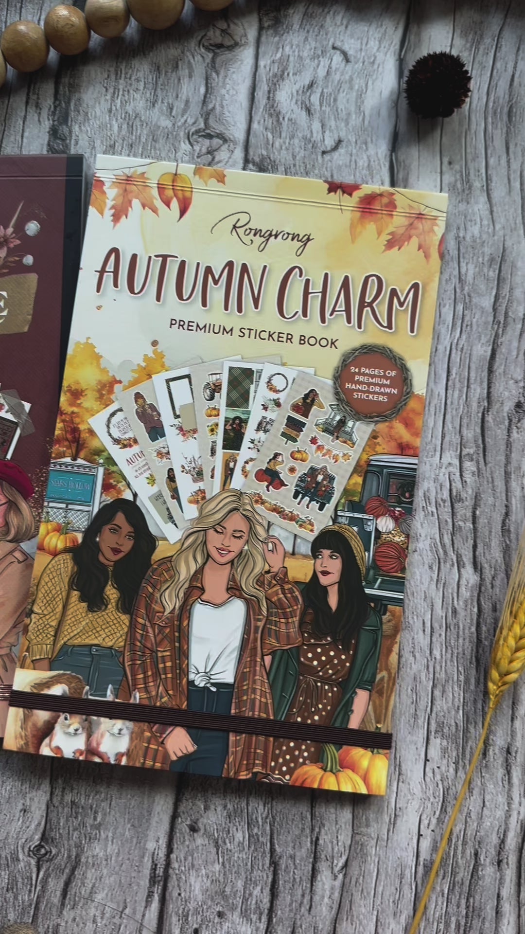 Video flip-through of the bundle, highlighting the diverse autumn stickers and their vibrant, seasonal designs.