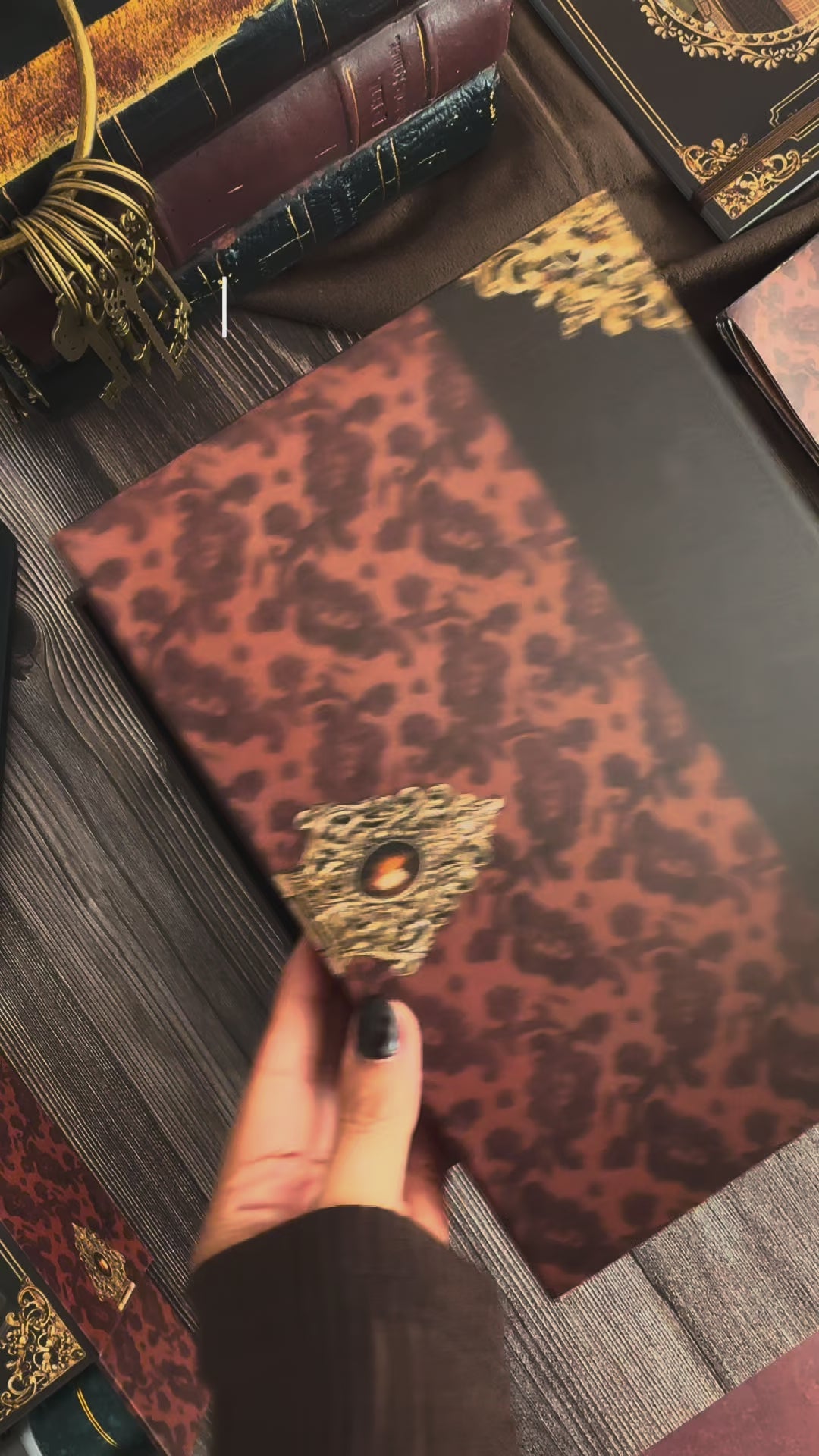 The Secret Archives Bundle (Ships on 9/22)