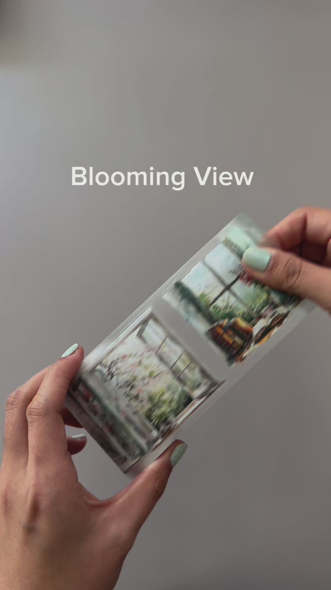 Blooming View PET Tape