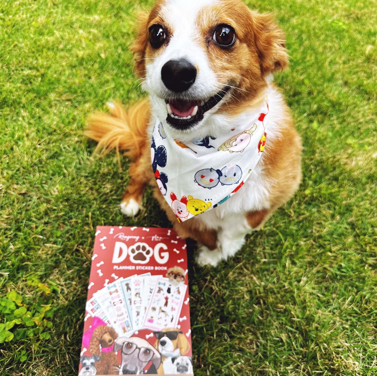 Happy dog with dog sticker book lifestyle